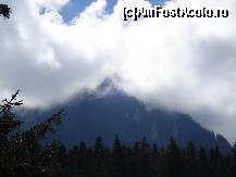 [P01] aspect din apropierea vilei....nu te atrage numai Lacul Bicaz... » foto by misuschumacher
 - 
<span class="allrVoted glyphicon glyphicon-heart hidden" id="av149531"></span>
<a class="m-l-10 hidden" id="sv149531" onclick="voting_Foto_DelVot(,149531,7689)" role="button">șterge vot <span class="glyphicon glyphicon-remove"></span></a>
<a id="v9149531" class=" c-red"  onclick="voting_Foto_SetVot(149531)" role="button"><span class="glyphicon glyphicon-heart-empty"></span> <b>LIKE</b> = Votează poza</a> <img class="hidden"  id="f149531W9" src="/imagini/loader.gif" border="0" /><span class="AjErrMes hidden" id="e149531ErM"></span>