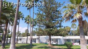 [P15] Nissi Beach - bungalowurile » foto by Carmen Ion
 - 
<span class="allrVoted glyphicon glyphicon-heart hidden" id="av1396254"></span>
<a class="m-l-10 hidden" id="sv1396254" onclick="voting_Foto_DelVot(,1396254,7721)" role="button">șterge vot <span class="glyphicon glyphicon-remove"></span></a>
<a id="v91396254" class=" c-red"  onclick="voting_Foto_SetVot(1396254)" role="button"><span class="glyphicon glyphicon-heart-empty"></span> <b>LIKE</b> = Votează poza</a> <img class="hidden"  id="f1396254W9" src="/imagini/loader.gif" border="0" /><span class="AjErrMes hidden" id="e1396254ErM"></span>