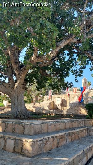 [P74] Mănăstirea Ayia Napa » foto by Carmen Ion
 - 
<span class="allrVoted glyphicon glyphicon-heart hidden" id="av1396313"></span>
<a class="m-l-10 hidden" id="sv1396313" onclick="voting_Foto_DelVot(,1396313,7721)" role="button">șterge vot <span class="glyphicon glyphicon-remove"></span></a>
<a id="v91396313" class=" c-red"  onclick="voting_Foto_SetVot(1396313)" role="button"><span class="glyphicon glyphicon-heart-empty"></span> <b>LIKE</b> = Votează poza</a> <img class="hidden"  id="f1396313W9" src="/imagini/loader.gif" border="0" /><span class="AjErrMes hidden" id="e1396313ErM"></span>