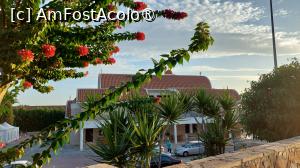 [P80] Biserica Ayia Napa » foto by Carmen Ion
 - 
<span class="allrVoted glyphicon glyphicon-heart hidden" id="av1396319"></span>
<a class="m-l-10 hidden" id="sv1396319" onclick="voting_Foto_DelVot(,1396319,7721)" role="button">șterge vot <span class="glyphicon glyphicon-remove"></span></a>
<a id="v91396319" class=" c-red"  onclick="voting_Foto_SetVot(1396319)" role="button"><span class="glyphicon glyphicon-heart-empty"></span> <b>LIKE</b> = Votează poza</a> <img class="hidden"  id="f1396319W9" src="/imagini/loader.gif" border="0" /><span class="AjErrMes hidden" id="e1396319ErM"></span>