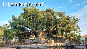[P87] Mănăstirea Ayia Napa » foto by Carmen Ion
 - 
<span class="allrVoted glyphicon glyphicon-heart hidden" id="av1396326"></span>
<a class="m-l-10 hidden" id="sv1396326" onclick="voting_Foto_DelVot(,1396326,7721)" role="button">șterge vot <span class="glyphicon glyphicon-remove"></span></a>
<a id="v91396326" class=" c-red"  onclick="voting_Foto_SetVot(1396326)" role="button"><span class="glyphicon glyphicon-heart-empty"></span> <b>LIKE</b> = Votează poza</a> <img class="hidden"  id="f1396326W9" src="/imagini/loader.gif" border="0" /><span class="AjErrMes hidden" id="e1396326ErM"></span>