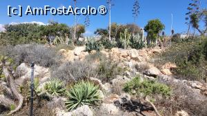 [P31] Parcul cu cactusi reprezinta o extindere a parcului de sculpturi din Ayia Napa si face parte dintr-un proiect menit sa puna in valoare varietatea de cactusi si plante suculente specifice zonelor aride existente pe insula. » foto by geani anto
 - 
<span class="allrVoted glyphicon glyphicon-heart hidden" id="av1539594"></span>
<a class="m-l-10 hidden" id="sv1539594" onclick="voting_Foto_DelVot(,1539594,7721)" role="button">șterge vot <span class="glyphicon glyphicon-remove"></span></a>
<a id="v91539594" class=" c-red"  onclick="voting_Foto_SetVot(1539594)" role="button"><span class="glyphicon glyphicon-heart-empty"></span> <b>LIKE</b> = Votează poza</a> <img class="hidden"  id="f1539594W9" src="/imagini/loader.gif" border="0" /><span class="AjErrMes hidden" id="e1539594ErM"></span>