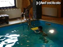 [P05] In piscina » foto by Romeo2011
 - 
<span class="allrVoted glyphicon glyphicon-heart hidden" id="av256217"></span>
<a class="m-l-10 hidden" id="sv256217" onclick="voting_Foto_DelVot(,256217,7730)" role="button">șterge vot <span class="glyphicon glyphicon-remove"></span></a>
<a id="v9256217" class=" c-red"  onclick="voting_Foto_SetVot(256217)" role="button"><span class="glyphicon glyphicon-heart-empty"></span> <b>LIKE</b> = Votează poza</a> <img class="hidden"  id="f256217W9" src="/imagini/loader.gif" border="0" /><span class="AjErrMes hidden" id="e256217ErM"></span>