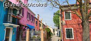 [P61] Nuanțe tari de Burano » foto by irinad
 - 
<span class="allrVoted glyphicon glyphicon-heart hidden" id="av1478206"></span>
<a class="m-l-10 hidden" id="sv1478206" onclick="voting_Foto_DelVot(,1478206,7782)" role="button">șterge vot <span class="glyphicon glyphicon-remove"></span></a>
<a id="v91478206" class=" c-red"  onclick="voting_Foto_SetVot(1478206)" role="button"><span class="glyphicon glyphicon-heart-empty"></span> <b>LIKE</b> = Votează poza</a> <img class="hidden"  id="f1478206W9" src="/imagini/loader.gif" border="0" /><span class="AjErrMes hidden" id="e1478206ErM"></span>