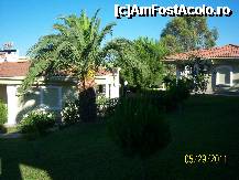 [P13] parcul dintre bungalow-uri » foto by oli
 - 
<span class="allrVoted glyphicon glyphicon-heart hidden" id="av232118"></span>
<a class="m-l-10 hidden" id="sv232118" onclick="voting_Foto_DelVot(,232118,7822)" role="button">șterge vot <span class="glyphicon glyphicon-remove"></span></a>
<a id="v9232118" class=" c-red"  onclick="voting_Foto_SetVot(232118)" role="button"><span class="glyphicon glyphicon-heart-empty"></span> <b>LIKE</b> = Votează poza</a> <img class="hidden"  id="f232118W9" src="/imagini/loader.gif" border="0" /><span class="AjErrMes hidden" id="e232118ErM"></span>
