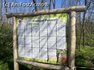 [P33] Focșani- Crângul Petrești » foto by Yersinia Pestis
 - 
<span class="allrVoted glyphicon glyphicon-heart hidden" id="av1523948"></span>
<a class="m-l-10 hidden" id="sv1523948" onclick="voting_Foto_DelVot(,1523948,7833)" role="button">șterge vot <span class="glyphicon glyphicon-remove"></span></a>
<a id="v91523948" class=" c-red"  onclick="voting_Foto_SetVot(1523948)" role="button"><span class="glyphicon glyphicon-heart-empty"></span> <b>LIKE</b> = Votează poza</a> <img class="hidden"  id="f1523948W9" src="/imagini/loader.gif" border="0" /><span class="AjErrMes hidden" id="e1523948ErM"></span>