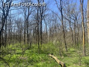 [P47] Focșani- Crângul Petrești » foto by Yersinia Pestis
 - 
<span class="allrVoted glyphicon glyphicon-heart hidden" id="av1523962"></span>
<a class="m-l-10 hidden" id="sv1523962" onclick="voting_Foto_DelVot(,1523962,7833)" role="button">șterge vot <span class="glyphicon glyphicon-remove"></span></a>
<a id="v91523962" class=" c-red"  onclick="voting_Foto_SetVot(1523962)" role="button"><span class="glyphicon glyphicon-heart-empty"></span> <b>LIKE</b> = Votează poza</a> <img class="hidden"  id="f1523962W9" src="/imagini/loader.gif" border="0" /><span class="AjErrMes hidden" id="e1523962ErM"></span>