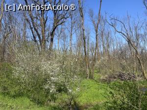 [P48] Focșani- Crângul Petrești » foto by Yersinia Pestis
 - 
<span class="allrVoted glyphicon glyphicon-heart hidden" id="av1523963"></span>
<a class="m-l-10 hidden" id="sv1523963" onclick="voting_Foto_DelVot(,1523963,7833)" role="button">șterge vot <span class="glyphicon glyphicon-remove"></span></a>
<a id="v91523963" class=" c-red"  onclick="voting_Foto_SetVot(1523963)" role="button"><span class="glyphicon glyphicon-heart-empty"></span> <b>LIKE</b> = Votează poza</a> <img class="hidden"  id="f1523963W9" src="/imagini/loader.gif" border="0" /><span class="AjErrMes hidden" id="e1523963ErM"></span>