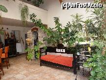 [P11]  -- <small>// FĂRĂ DESCRIERE</small> » foto by claudiu 71
 - 
<span class="allrVoted glyphicon glyphicon-heart hidden" id="av210783"></span>
<a class="m-l-10 hidden" id="sv210783" onclick="voting_Foto_DelVot(,210783,7866)" role="button">șterge vot <span class="glyphicon glyphicon-remove"></span></a>
<a id="v9210783" class=" c-red"  onclick="voting_Foto_SetVot(210783)" role="button"><span class="glyphicon glyphicon-heart-empty"></span> <b>LIKE</b> = Votează poza</a> <img class="hidden"  id="f210783W9" src="/imagini/loader.gif" border="0" /><span class="AjErrMes hidden" id="e210783ErM"></span>