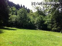 [P01] pajistea din fata cabanei » foto by guesswhoo*
 - 
<span class="allrVoted glyphicon glyphicon-heart hidden" id="av240046"></span>
<a class="m-l-10 hidden" id="sv240046" onclick="voting_Foto_DelVot(,240046,7879)" role="button">șterge vot <span class="glyphicon glyphicon-remove"></span></a>
<a id="v9240046" class=" c-red"  onclick="voting_Foto_SetVot(240046)" role="button"><span class="glyphicon glyphicon-heart-empty"></span> <b>LIKE</b> = Votează poza</a> <img class="hidden"  id="f240046W9" src="/imagini/loader.gif" border="0" /><span class="AjErrMes hidden" id="e240046ErM"></span>