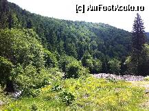 [P23] priveliste Sambata de Sus » foto by guesswhoo*
 - 
<span class="allrVoted glyphicon glyphicon-heart hidden" id="av240068"></span>
<a class="m-l-10 hidden" id="sv240068" onclick="voting_Foto_DelVot(,240068,7879)" role="button">șterge vot <span class="glyphicon glyphicon-remove"></span></a>
<a id="v9240068" class=" c-red"  onclick="voting_Foto_SetVot(240068)" role="button"><span class="glyphicon glyphicon-heart-empty"></span> <b>LIKE</b> = Votează poza</a> <img class="hidden"  id="f240068W9" src="/imagini/loader.gif" border="0" /><span class="AjErrMes hidden" id="e240068ErM"></span>