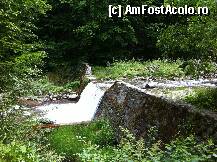 [P25] absolut superb..totul natural! » foto by guesswhoo*
 - 
<span class="allrVoted glyphicon glyphicon-heart hidden" id="av240070"></span>
<a class="m-l-10 hidden" id="sv240070" onclick="voting_Foto_DelVot(,240070,7879)" role="button">șterge vot <span class="glyphicon glyphicon-remove"></span></a>
<a id="v9240070" class=" c-red"  onclick="voting_Foto_SetVot(240070)" role="button"><span class="glyphicon glyphicon-heart-empty"></span> <b>LIKE</b> = Votează poza</a> <img class="hidden"  id="f240070W9" src="/imagini/loader.gif" border="0" /><span class="AjErrMes hidden" id="e240070ErM"></span>