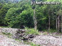 [P27] urmele viiturii din 2007 » foto by guesswhoo*
 - 
<span class="allrVoted glyphicon glyphicon-heart hidden" id="av240074"></span>
<a class="m-l-10 hidden" id="sv240074" onclick="voting_Foto_DelVot(,240074,7879)" role="button">șterge vot <span class="glyphicon glyphicon-remove"></span></a>
<a id="v9240074" class=" c-red"  onclick="voting_Foto_SetVot(240074)" role="button"><span class="glyphicon glyphicon-heart-empty"></span> <b>LIKE</b> = Votează poza</a> <img class="hidden"  id="f240074W9" src="/imagini/loader.gif" border="0" /><span class="AjErrMes hidden" id="e240074ErM"></span>