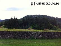 [P32] toata zona era ingrijita de calugarii de la manastire » foto by guesswhoo*
 - 
<span class="allrVoted glyphicon glyphicon-heart hidden" id="av240086"></span>
<a class="m-l-10 hidden" id="sv240086" onclick="voting_Foto_DelVot(,240086,7879)" role="button">șterge vot <span class="glyphicon glyphicon-remove"></span></a>
<a id="v9240086" class=" c-red"  onclick="voting_Foto_SetVot(240086)" role="button"><span class="glyphicon glyphicon-heart-empty"></span> <b>LIKE</b> = Votează poza</a> <img class="hidden"  id="f240086W9" src="/imagini/loader.gif" border="0" /><span class="AjErrMes hidden" id="e240086ErM"></span>