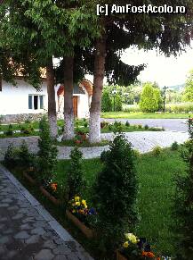 [P50] flori..flori..flori » foto by guesswhoo*
 - 
<span class="allrVoted glyphicon glyphicon-heart hidden" id="av240120"></span>
<a class="m-l-10 hidden" id="sv240120" onclick="voting_Foto_DelVot(,240120,7879)" role="button">șterge vot <span class="glyphicon glyphicon-remove"></span></a>
<a id="v9240120" class=" c-red"  onclick="voting_Foto_SetVot(240120)" role="button"><span class="glyphicon glyphicon-heart-empty"></span> <b>LIKE</b> = Votează poza</a> <img class="hidden"  id="f240120W9" src="/imagini/loader.gif" border="0" /><span class="AjErrMes hidden" id="e240120ErM"></span>