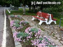 [P54] ,, paza celor ce vin/ bucuria celor ce raman/ binecuvantarea celor ce pleaca'' » foto by guesswhoo*
 - 
<span class="allrVoted glyphicon glyphicon-heart hidden" id="av240124"></span>
<a class="m-l-10 hidden" id="sv240124" onclick="voting_Foto_DelVot(,240124,7879)" role="button">șterge vot <span class="glyphicon glyphicon-remove"></span></a>
<a id="v9240124" class=" c-red"  onclick="voting_Foto_SetVot(240124)" role="button"><span class="glyphicon glyphicon-heart-empty"></span> <b>LIKE</b> = Votează poza</a> <img class="hidden"  id="f240124W9" src="/imagini/loader.gif" border="0" /><span class="AjErrMes hidden" id="e240124ErM"></span>