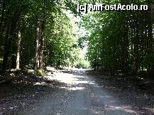 [P09] priveliste Sambata de Sus » foto by guesswhoo*
 - 
<span class="allrVoted glyphicon glyphicon-heart hidden" id="av240054"></span>
<a class="m-l-10 hidden" id="sv240054" onclick="voting_Foto_DelVot(,240054,7879)" role="button">șterge vot <span class="glyphicon glyphicon-remove"></span></a>
<a id="v9240054" class=" c-red"  onclick="voting_Foto_SetVot(240054)" role="button"><span class="glyphicon glyphicon-heart-empty"></span> <b>LIKE</b> = Votează poza</a> <img class="hidden"  id="f240054W9" src="/imagini/loader.gif" border="0" /><span class="AjErrMes hidden" id="e240054ErM"></span>