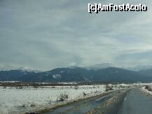 [P24]  -- <small>// FĂRĂ DESCRIERE</small> » foto by dananecula*
 - 
<span class="allrVoted glyphicon glyphicon-heart hidden" id="av187157"></span>
<a class="m-l-10 hidden" id="sv187157" onclick="voting_Foto_DelVot(,187157,7879)" role="button">șterge vot <span class="glyphicon glyphicon-remove"></span></a>
<a id="v9187157" class=" c-red"  onclick="voting_Foto_SetVot(187157)" role="button"><span class="glyphicon glyphicon-heart-empty"></span> <b>LIKE</b> = Votează poza</a> <img class="hidden"  id="f187157W9" src="/imagini/loader.gif" border="0" /><span class="AjErrMes hidden" id="e187157ErM"></span>