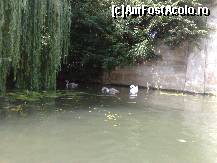 [P05]  -- <small>// FĂRĂ DESCRIERE</small> » foto by irma_ro*
 - 
<span class="allrVoted glyphicon glyphicon-heart hidden" id="av156409"></span>
<a class="m-l-10 hidden" id="sv156409" onclick="voting_Foto_DelVot(,156409,7883)" role="button">șterge vot <span class="glyphicon glyphicon-remove"></span></a>
<a id="v9156409" class=" c-red"  onclick="voting_Foto_SetVot(156409)" role="button"><span class="glyphicon glyphicon-heart-empty"></span> <b>LIKE</b> = Votează poza</a> <img class="hidden"  id="f156409W9" src="/imagini/loader.gif" border="0" /><span class="AjErrMes hidden" id="e156409ErM"></span>