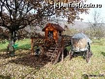 [P21] casuta piticilor pentru micuti » foto by dannek
 - 
<span class="allrVoted glyphicon glyphicon-heart hidden" id="av157378"></span>
<a class="m-l-10 hidden" id="sv157378" onclick="voting_Foto_DelVot(,157378,7896)" role="button">șterge vot <span class="glyphicon glyphicon-remove"></span></a>
<a id="v9157378" class=" c-red"  onclick="voting_Foto_SetVot(157378)" role="button"><span class="glyphicon glyphicon-heart-empty"></span> <b>LIKE</b> = Votează poza</a> <img class="hidden"  id="f157378W9" src="/imagini/loader.gif" border="0" /><span class="AjErrMes hidden" id="e157378ErM"></span>