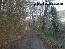 [P26] drumul forestier de acces la pensiune » foto by dannek
 - 
<span class="allrVoted glyphicon glyphicon-heart hidden" id="av157385"></span>
<a class="m-l-10 hidden" id="sv157385" onclick="voting_Foto_DelVot(,157385,7896)" role="button">șterge vot <span class="glyphicon glyphicon-remove"></span></a>
<a id="v9157385" class=" c-red"  onclick="voting_Foto_SetVot(157385)" role="button"><span class="glyphicon glyphicon-heart-empty"></span> <b>LIKE</b> = Votează poza</a> <img class="hidden"  id="f157385W9" src="/imagini/loader.gif" border="0" /><span class="AjErrMes hidden" id="e157385ErM"></span>