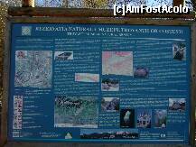 [P22] Costesti - Rezervatia Naturala Muzeul Trovantilor, panoul informativ » foto by magdalena
 - 
<span class="allrVoted glyphicon glyphicon-heart hidden" id="av158166"></span>
<a class="m-l-10 hidden" id="sv158166" onclick="voting_Foto_DelVot(,158166,7908)" role="button">șterge vot <span class="glyphicon glyphicon-remove"></span></a>
<a id="v9158166" class=" c-red"  onclick="voting_Foto_SetVot(158166)" role="button"><span class="glyphicon glyphicon-heart-empty"></span> <b>LIKE</b> = Votează poza</a> <img class="hidden"  id="f158166W9" src="/imagini/loader.gif" border="0" /><span class="AjErrMes hidden" id="e158166ErM"></span>