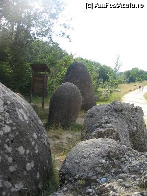 [P11] Probabil că noaptea sunt înfricoşători » foto by Michi
 - 
<span class="allrVoted glyphicon glyphicon-heart hidden" id="av496699"></span>
<a class="m-l-10 hidden" id="sv496699" onclick="voting_Foto_DelVot(,496699,7908)" role="button">șterge vot <span class="glyphicon glyphicon-remove"></span></a>
<a id="v9496699" class=" c-red"  onclick="voting_Foto_SetVot(496699)" role="button"><span class="glyphicon glyphicon-heart-empty"></span> <b>LIKE</b> = Votează poza</a> <img class="hidden"  id="f496699W9" src="/imagini/loader.gif" border="0" /><span class="AjErrMes hidden" id="e496699ErM"></span>