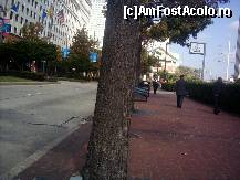 [P23] Tipic american..trotuar mai larg decat banda pentru masini » foto by liviadavidescu
 - 
<span class="allrVoted glyphicon glyphicon-heart hidden" id="av159913"></span>
<a class="m-l-10 hidden" id="sv159913" onclick="voting_Foto_DelVot(,159913,7909)" role="button">șterge vot <span class="glyphicon glyphicon-remove"></span></a>
<a id="v9159913" class=" c-red"  onclick="voting_Foto_SetVot(159913)" role="button"><span class="glyphicon glyphicon-heart-empty"></span> <b>LIKE</b> = Votează poza</a> <img class="hidden"  id="f159913W9" src="/imagini/loader.gif" border="0" /><span class="AjErrMes hidden" id="e159913ErM"></span>