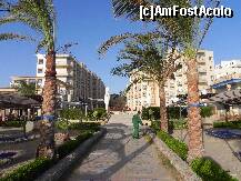 [P22]  -- <small>// FĂRĂ DESCRIERE</small> » foto by mary-criss
 - 
<span class="allrVoted glyphicon glyphicon-heart hidden" id="av158030"></span>
<a class="m-l-10 hidden" id="sv158030" onclick="voting_Foto_DelVot(,158030,7915)" role="button">șterge vot <span class="glyphicon glyphicon-remove"></span></a>
<a id="v9158030" class=" c-red"  onclick="voting_Foto_SetVot(158030)" role="button"><span class="glyphicon glyphicon-heart-empty"></span> <b>LIKE</b> = Votează poza</a> <img class="hidden"  id="f158030W9" src="/imagini/loader.gif" border="0" /><span class="AjErrMes hidden" id="e158030ErM"></span>