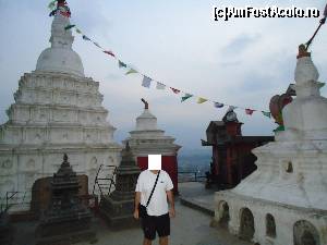 [P23]  -- <small>// FĂRĂ DESCRIERE</small> » foto by buterfly*
 - 
<span class="allrVoted glyphicon glyphicon-heart hidden" id="av509250"></span>
<a class="m-l-10 hidden" id="sv509250" onclick="voting_Foto_DelVot(,509250,7929)" role="button">șterge vot <span class="glyphicon glyphicon-remove"></span></a>
<a id="v9509250" class=" c-red"  onclick="voting_Foto_SetVot(509250)" role="button"><span class="glyphicon glyphicon-heart-empty"></span> <b>LIKE</b> = Votează poza</a> <img class="hidden"  id="f509250W9" src="/imagini/loader.gif" border="0" /><span class="AjErrMes hidden" id="e509250ErM"></span>