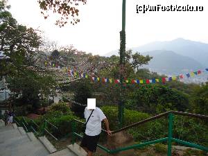 [P04] incepem urcarea catre stupa » foto by buterfly*
 - 
<span class="allrVoted glyphicon glyphicon-heart hidden" id="av509231"></span>
<a class="m-l-10 hidden" id="sv509231" onclick="voting_Foto_DelVot(,509231,7929)" role="button">șterge vot <span class="glyphicon glyphicon-remove"></span></a>
<a id="v9509231" class=" c-red"  onclick="voting_Foto_SetVot(509231)" role="button"><span class="glyphicon glyphicon-heart-empty"></span> <b>LIKE</b> = Votează poza</a> <img class="hidden"  id="f509231W9" src="/imagini/loader.gif" border="0" /><span class="AjErrMes hidden" id="e509231ErM"></span>