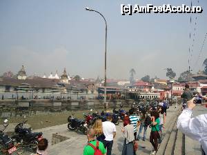 [P02] ne acoperim fetele cu ce apucam » foto by buterfly*
 - 
<span class="allrVoted glyphicon glyphicon-heart hidden" id="av509539"></span>
<a class="m-l-10 hidden" id="sv509539" onclick="voting_Foto_DelVot(,509539,7929)" role="button">șterge vot <span class="glyphicon glyphicon-remove"></span></a>
<a id="v9509539" class=" c-red"  onclick="voting_Foto_SetVot(509539)" role="button"><span class="glyphicon glyphicon-heart-empty"></span> <b>LIKE</b> = Votează poza</a> <img class="hidden"  id="f509539W9" src="/imagini/loader.gif" border="0" /><span class="AjErrMes hidden" id="e509539ErM"></span>