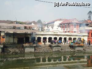 [P03] zona de ardere » foto by buterfly*
 - 
<span class="allrVoted glyphicon glyphicon-heart hidden" id="av509540"></span>
<a class="m-l-10 hidden" id="sv509540" onclick="voting_Foto_DelVot(,509540,7929)" role="button">șterge vot <span class="glyphicon glyphicon-remove"></span></a>
<a id="v9509540" class=" c-red"  onclick="voting_Foto_SetVot(509540)" role="button"><span class="glyphicon glyphicon-heart-empty"></span> <b>LIKE</b> = Votează poza</a> <img class="hidden"  id="f509540W9" src="/imagini/loader.gif" border="0" /><span class="AjErrMes hidden" id="e509540ErM"></span>