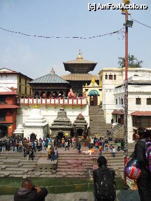 [P07] cadavru imbracat in alb, cu flori portocalii, depus langa templu » foto by buterfly*
 - 
<span class="allrVoted glyphicon glyphicon-heart hidden" id="av509544"></span>
<a class="m-l-10 hidden" id="sv509544" onclick="voting_Foto_DelVot(,509544,7929)" role="button">șterge vot <span class="glyphicon glyphicon-remove"></span></a>
<a id="v9509544" class=" c-red"  onclick="voting_Foto_SetVot(509544)" role="button"><span class="glyphicon glyphicon-heart-empty"></span> <b>LIKE</b> = Votează poza</a> <img class="hidden"  id="f509544W9" src="/imagini/loader.gif" border="0" /><span class="AjErrMes hidden" id="e509544ErM"></span>