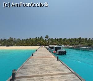 [P44] <strong>Meeru Island Resort & Spa, am ajuns</strong> » foto by elenaadina
 - 
<span class="allrVoted glyphicon glyphicon-heart hidden" id="av1421128"></span>
<a class="m-l-10 hidden" id="sv1421128" onclick="voting_Foto_DelVot(,1421128,7942)" role="button">șterge vot <span class="glyphicon glyphicon-remove"></span></a>
<a id="v91421128" class=" c-red"  onclick="voting_Foto_SetVot(1421128)" role="button"><span class="glyphicon glyphicon-heart-empty"></span> <b>LIKE</b> = Votează poza</a> <img class="hidden"  id="f1421128W9" src="/imagini/loader.gif" border="0" /><span class="AjErrMes hidden" id="e1421128ErM"></span>