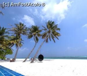 [P01] Meeru Maldives 2026 » foto by elenaadina
 - 
<span class="allrVoted glyphicon glyphicon-heart hidden" id="av1524027"></span>
<a class="m-l-10 hidden" id="sv1524027" onclick="voting_Foto_DelVot(,1524027,7942)" role="button">șterge vot <span class="glyphicon glyphicon-remove"></span></a>
<a id="v91524027" class=" c-red"  onclick="voting_Foto_SetVot(1524027)" role="button"><span class="glyphicon glyphicon-heart-empty"></span> <b>LIKE</b> = Votează poza</a> <img class="hidden"  id="f1524027W9" src="/imagini/loader.gif" border="0" /><span class="AjErrMes hidden" id="e1524027ErM"></span>