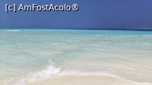 [P10] Meeru Maldives 2026 » foto by elenaadina
 - 
<span class="allrVoted glyphicon glyphicon-heart hidden" id="av1524036"></span>
<a class="m-l-10 hidden" id="sv1524036" onclick="voting_Foto_DelVot(,1524036,7942)" role="button">șterge vot <span class="glyphicon glyphicon-remove"></span></a>
<a id="v91524036" class=" c-red"  onclick="voting_Foto_SetVot(1524036)" role="button"><span class="glyphicon glyphicon-heart-empty"></span> <b>LIKE</b> = Votează poza</a> <img class="hidden"  id="f1524036W9" src="/imagini/loader.gif" border="0" /><span class="AjErrMes hidden" id="e1524036ErM"></span>