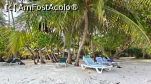 [P36]  -- <small>// FĂRĂ DESCRIERE</small> » foto by elenaadina
 - 
<span class="allrVoted glyphicon glyphicon-heart hidden" id="av1524062"></span>
<a class="m-l-10 hidden" id="sv1524062" onclick="voting_Foto_DelVot(,1524062,7942)" role="button">șterge vot <span class="glyphicon glyphicon-remove"></span></a>
<a id="v91524062" class=" c-red"  onclick="voting_Foto_SetVot(1524062)" role="button"><span class="glyphicon glyphicon-heart-empty"></span> <b>LIKE</b> = Votează poza</a> <img class="hidden"  id="f1524062W9" src="/imagini/loader.gif" border="0" /><span class="AjErrMes hidden" id="e1524062ErM"></span>