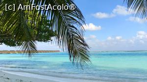 [P42]  -- <small>// FĂRĂ DESCRIERE</small> » foto by elenaadina
 - 
<span class="allrVoted glyphicon glyphicon-heart hidden" id="av1524068"></span>
<a class="m-l-10 hidden" id="sv1524068" onclick="voting_Foto_DelVot(,1524068,7942)" role="button">șterge vot <span class="glyphicon glyphicon-remove"></span></a>
<a id="v91524068" class=" c-red"  onclick="voting_Foto_SetVot(1524068)" role="button"><span class="glyphicon glyphicon-heart-empty"></span> <b>LIKE</b> = Votează poza</a> <img class="hidden"  id="f1524068W9" src="/imagini/loader.gif" border="0" /><span class="AjErrMes hidden" id="e1524068ErM"></span>