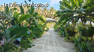 [P45]  -- <small>// FĂRĂ DESCRIERE</small> » foto by elenaadina
 - 
<span class="allrVoted glyphicon glyphicon-heart hidden" id="av1524071"></span>
<a class="m-l-10 hidden" id="sv1524071" onclick="voting_Foto_DelVot(,1524071,7942)" role="button">șterge vot <span class="glyphicon glyphicon-remove"></span></a>
<a id="v91524071" class=" c-red"  onclick="voting_Foto_SetVot(1524071)" role="button"><span class="glyphicon glyphicon-heart-empty"></span> <b>LIKE</b> = Votează poza</a> <img class="hidden"  id="f1524071W9" src="/imagini/loader.gif" border="0" /><span class="AjErrMes hidden" id="e1524071ErM"></span>