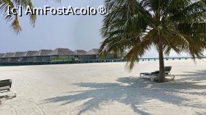 [P09] Meeru Maldives 2026 » foto by elenaadina
 - 
<span class="allrVoted glyphicon glyphicon-heart hidden" id="av1524035"></span>
<a class="m-l-10 hidden" id="sv1524035" onclick="voting_Foto_DelVot(,1524035,7942)" role="button">șterge vot <span class="glyphicon glyphicon-remove"></span></a>
<a id="v91524035" class=" c-red"  onclick="voting_Foto_SetVot(1524035)" role="button"><span class="glyphicon glyphicon-heart-empty"></span> <b>LIKE</b> = Votează poza</a> <img class="hidden"  id="f1524035W9" src="/imagini/loader.gif" border="0" /><span class="AjErrMes hidden" id="e1524035ErM"></span>