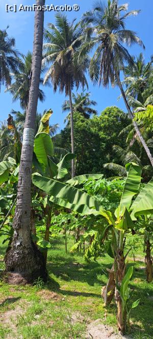 [P02] Facuta undeva in interiorul insulitei in zona serelor si a gradinei resortului » foto by Daniel35
 - 
<span class="allrVoted glyphicon glyphicon-heart hidden" id="av1419334"></span>
<a class="m-l-10 hidden" id="sv1419334" onclick="voting_Foto_DelVot(,1419334,7942)" role="button">șterge vot <span class="glyphicon glyphicon-remove"></span></a>
<a id="v91419334" class=" c-red"  onclick="voting_Foto_SetVot(1419334)" role="button"><span class="glyphicon glyphicon-heart-empty"></span> <b>LIKE</b> = Votează poza</a> <img class="hidden"  id="f1419334W9" src="/imagini/loader.gif" border="0" /><span class="AjErrMes hidden" id="e1419334ErM"></span>