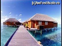 [P01] WATER SPA SI WATER VILLAS » foto by kiti
 - 
<span class="allrVoted glyphicon glyphicon-heart hidden" id="av159578"></span>
<a class="m-l-10 hidden" id="sv159578" onclick="voting_Foto_DelVot(,159578,7942)" role="button">șterge vot <span class="glyphicon glyphicon-remove"></span></a>
<a id="v9159578" class=" c-red"  onclick="voting_Foto_SetVot(159578)" role="button"><span class="glyphicon glyphicon-heart-empty"></span> <b>LIKE</b> = Votează poza</a> <img class="hidden"  id="f159578W9" src="/imagini/loader.gif" border="0" /><span class="AjErrMes hidden" id="e159578ErM"></span>