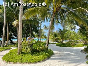 [P01] Meeru Island - zona receptie » foto by Florin1969
 - 
<span class="allrVoted glyphicon glyphicon-heart hidden" id="av1278206"></span>
<a class="m-l-10 hidden" id="sv1278206" onclick="voting_Foto_DelVot(,1278206,7942)" role="button">șterge vot <span class="glyphicon glyphicon-remove"></span></a>
<a id="v91278206" class=" c-red"  onclick="voting_Foto_SetVot(1278206)" role="button"><span class="glyphicon glyphicon-heart-empty"></span> <b>LIKE</b> = Votează poza</a> <img class="hidden"  id="f1278206W9" src="/imagini/loader.gif" border="0" /><span class="AjErrMes hidden" id="e1278206ErM"></span>