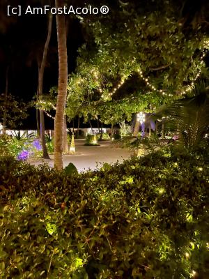 [P02] Meeru Island - Kakuni bar » foto by Florin1969
 - 
<span class="allrVoted glyphicon glyphicon-heart hidden" id="av1278207"></span>
<a class="m-l-10 hidden" id="sv1278207" onclick="voting_Foto_DelVot(,1278207,7942)" role="button">șterge vot <span class="glyphicon glyphicon-remove"></span></a>
<a id="v91278207" class=" c-red"  onclick="voting_Foto_SetVot(1278207)" role="button"><span class="glyphicon glyphicon-heart-empty"></span> <b>LIKE</b> = Votează poza</a> <img class="hidden"  id="f1278207W9" src="/imagini/loader.gif" border="0" /><span class="AjErrMes hidden" id="e1278207ErM"></span>