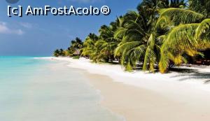 [P06] Meeru Island » foto by Florin1969
 - 
<span class="allrVoted glyphicon glyphicon-heart hidden" id="av1278211"></span>
<a class="m-l-10 hidden" id="sv1278211" onclick="voting_Foto_DelVot(,1278211,7942)" role="button">șterge vot <span class="glyphicon glyphicon-remove"></span></a>
<a id="v91278211" class=" c-red"  onclick="voting_Foto_SetVot(1278211)" role="button"><span class="glyphicon glyphicon-heart-empty"></span> <b>LIKE</b> = Votează poza</a> <img class="hidden"  id="f1278211W9" src="/imagini/loader.gif" border="0" /><span class="AjErrMes hidden" id="e1278211ErM"></span>