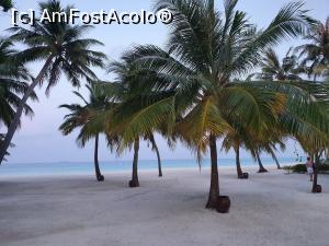 [P07] Meeru Island » foto by Florin1969
 - 
<span class="allrVoted glyphicon glyphicon-heart hidden" id="av1278212"></span>
<a class="m-l-10 hidden" id="sv1278212" onclick="voting_Foto_DelVot(,1278212,7942)" role="button">șterge vot <span class="glyphicon glyphicon-remove"></span></a>
<a id="v91278212" class=" c-red"  onclick="voting_Foto_SetVot(1278212)" role="button"><span class="glyphicon glyphicon-heart-empty"></span> <b>LIKE</b> = Votează poza</a> <img class="hidden"  id="f1278212W9" src="/imagini/loader.gif" border="0" /><span class="AjErrMes hidden" id="e1278212ErM"></span>