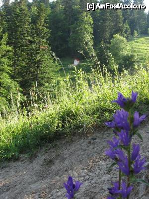 [P10] Mănăstirea Horăicioara - izvorul tămăduitor.  » foto by tata123 🔱
 - 
<span class="allrVoted glyphicon glyphicon-heart hidden" id="av606552"></span>
<a class="m-l-10 hidden" id="sv606552" onclick="voting_Foto_DelVot(,606552,7948)" role="button">șterge vot <span class="glyphicon glyphicon-remove"></span></a>
<a id="v9606552" class=" c-red"  onclick="voting_Foto_SetVot(606552)" role="button"><span class="glyphicon glyphicon-heart-empty"></span> <b>LIKE</b> = Votează poza</a> <img class="hidden"  id="f606552W9" src="/imagini/loader.gif" border="0" /><span class="AjErrMes hidden" id="e606552ErM"></span>