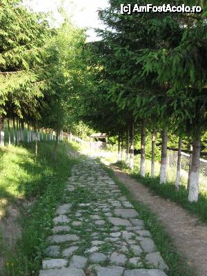 [P11] Cărarea pietruită de la intrare în curte.  » foto by tata123 🔱
 - 
<span class="allrVoted glyphicon glyphicon-heart hidden" id="av606553"></span>
<a class="m-l-10 hidden" id="sv606553" onclick="voting_Foto_DelVot(,606553,7948)" role="button">șterge vot <span class="glyphicon glyphicon-remove"></span></a>
<a id="v9606553" class=" c-red"  onclick="voting_Foto_SetVot(606553)" role="button"><span class="glyphicon glyphicon-heart-empty"></span> <b>LIKE</b> = Votează poza</a> <img class="hidden"  id="f606553W9" src="/imagini/loader.gif" border="0" /><span class="AjErrMes hidden" id="e606553ErM"></span>