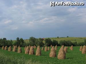 [P05] „Ciobani” pe câmp...  » foto by tata123 🔱
 - 
<span class="allrVoted glyphicon glyphicon-heart hidden" id="av606547"></span>
<a class="m-l-10 hidden" id="sv606547" onclick="voting_Foto_DelVot(,606547,7948)" role="button">șterge vot <span class="glyphicon glyphicon-remove"></span></a>
<a id="v9606547" class=" c-red"  onclick="voting_Foto_SetVot(606547)" role="button"><span class="glyphicon glyphicon-heart-empty"></span> <b>LIKE</b> = Votează poza</a> <img class="hidden"  id="f606547W9" src="/imagini/loader.gif" border="0" /><span class="AjErrMes hidden" id="e606547ErM"></span>